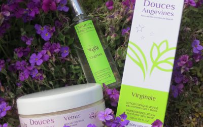 Poudre d’étoiles : Vénus