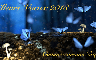 Très belle année et meilleurs voeux pour 2018