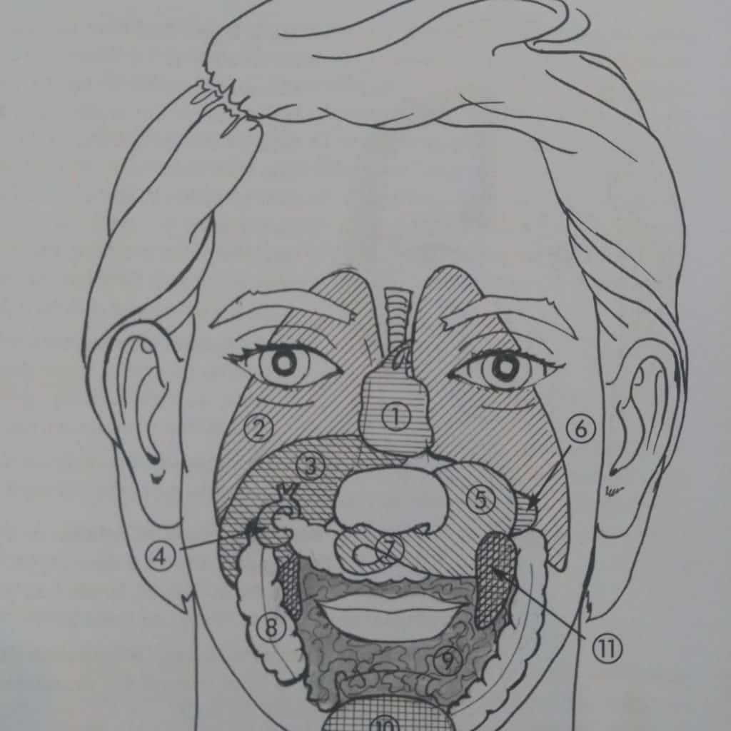 Schéma des zones réflexes du visage