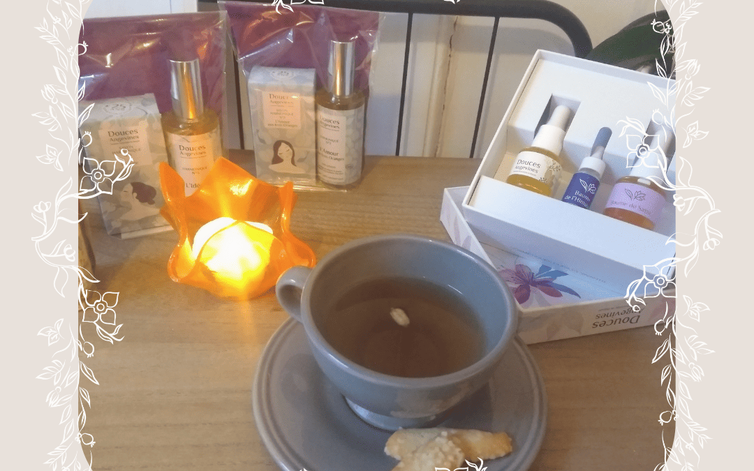 Portes ouvertes Lundi 22 décembre et horaires spéciaux